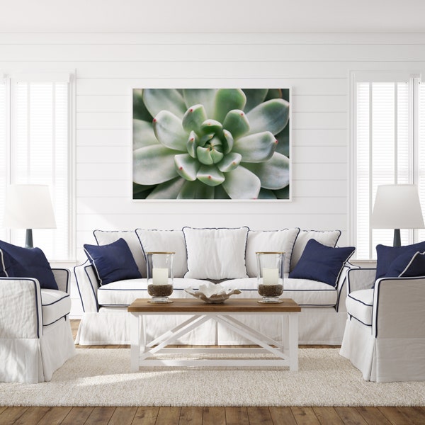 Succulent Print | Digital Download | Echeveria 'Tippy' Wall Art | Instant Download Wall Decor