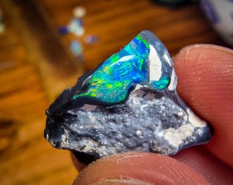 原石のオーストラリア産ブラック オパール、ライトニング リッジ、8.5