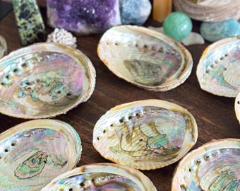 Abalone Shells, Incense burner, soap dish, Sage dish, Crystal dish, Altar dish, Trinket dish