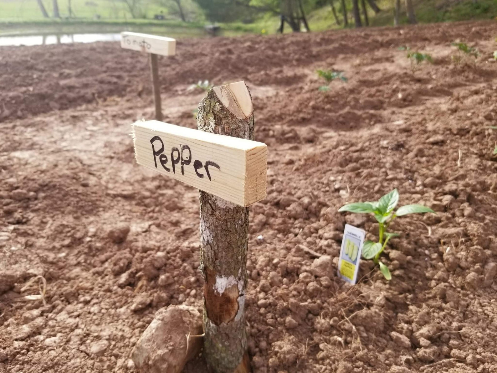 Rustic Tall Plant Markers Planter Markers Wooden Planter Etsy