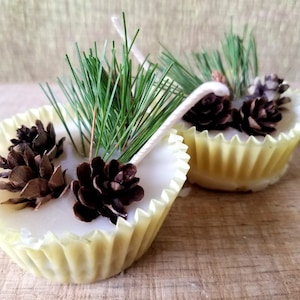 May include: Two white soy wax candles in yellow paper cupcake liners decorated with pine sprigs and pine cones.