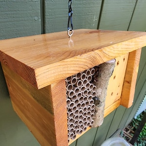 May include: A wooden bee house with a hanging chain, featuring a variety of nesting tubes and a natural branch for bees to build their nests.