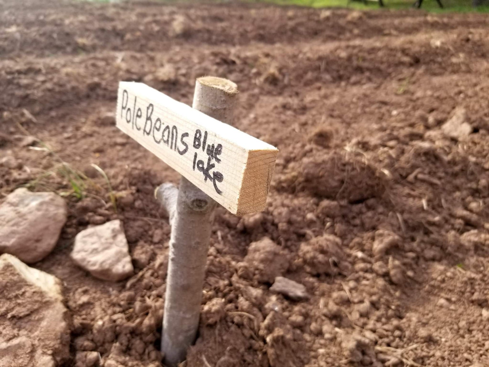 Rustic Plant Markers, Planter Markers, Wooden Planter Markers, Garden