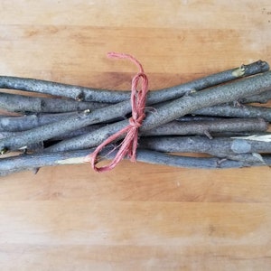 Autumn Olive Branch Bundle, Craft Branches, DIY Crafts, Live Edge Wood, Rustic Decor, Twigs, Sticks
