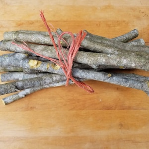 Beech Branch Bundle, Craft Branches, DIY Crafts, Live Edge Wood, Rustic Decor, Twigs, Sticks