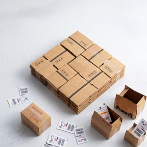 1 set miniatuur expresbezorgingsdoos, klein verzenddoosmodel, mini exprespakketdoos replica voor poppenhuis, mini logistieke decorset