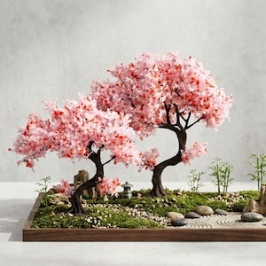Miniature cherry blossom tree
