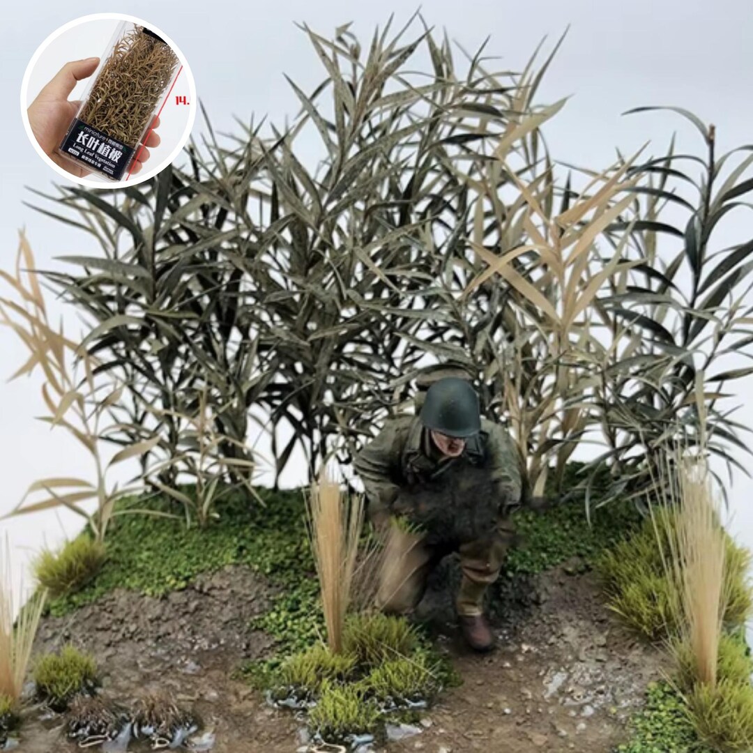 1 Box Miniature Long Leaf Grass, Miniature Reed Grass, Long Leaf ...