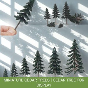 10 pins cèdres miniatures | Accessoires ferroviaires miniatures DIY Scene Garden Landscape | Fournitures créatives pour diorama