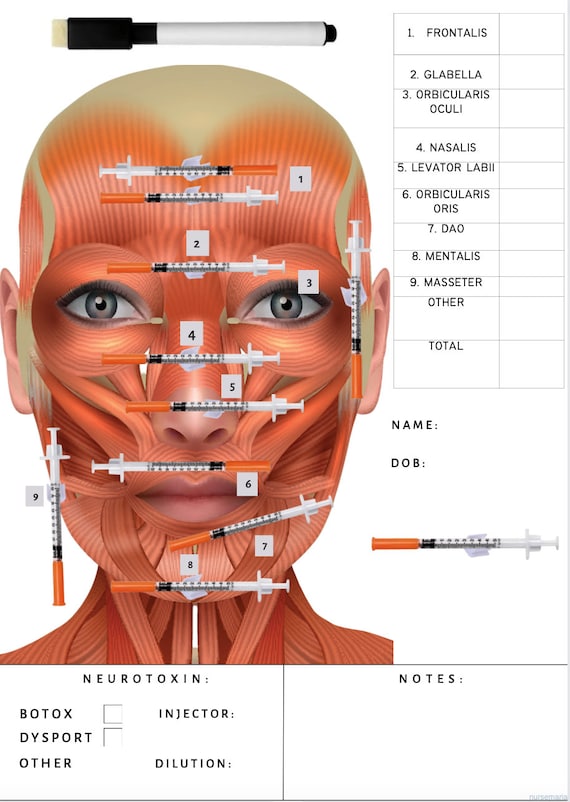 BOTOX Syringe Holder Board for Cosmetic Injector Etsy