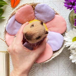K&ouml;nnte beinhalten: Ein hellbraunes Meerschweinchen-Spielzeug mit gelbem Kopf, eingebettet in einem Korb mit pastellfarbenen Bl&uuml;tenbl&auml;ttern. Der Korb ist von Filzkarotten und Blumen umgeben, was ein skurriles Fr&uuml;hlingsmotiv ergibt.