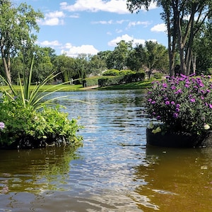 Floating Garden | Flower Pot for Lakes and Ponds