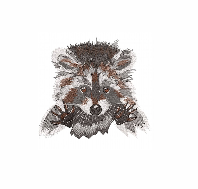Raccoon machine embroidery design 5 sizes  etsy