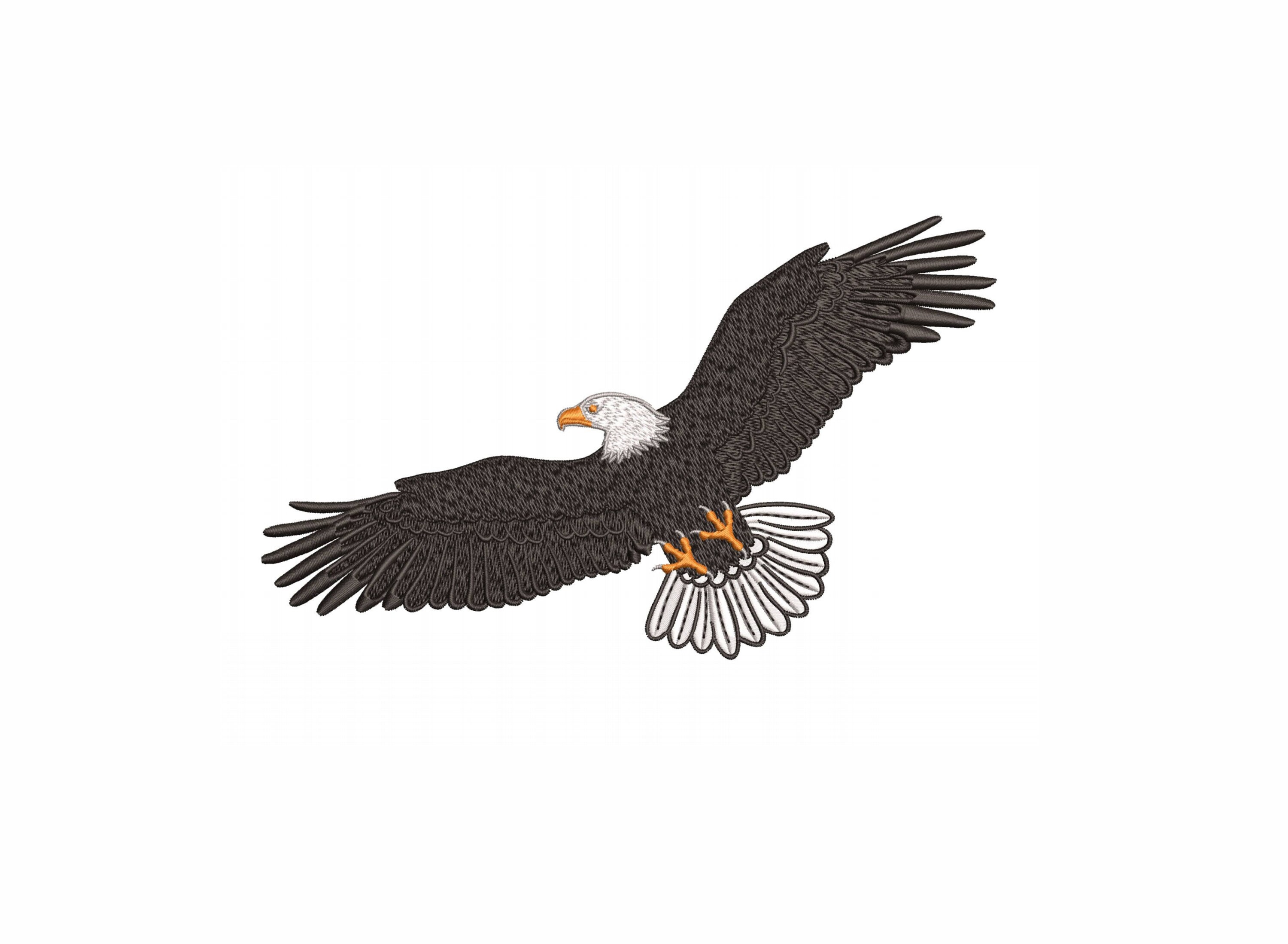 Bald Eagle Machine Embroidery Design 6 Sizes Etsy Canada