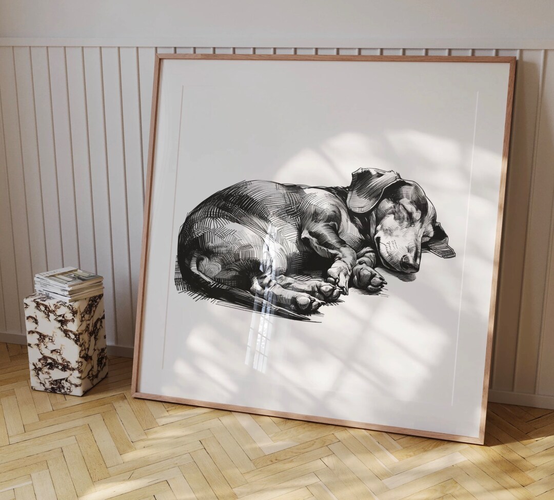Sleeping Dachshund Art, Lazy Sausage Dog Sketch, Black White