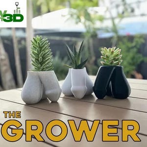 Puede incluir: Tres macetas únicas para suculentas en blanco, gris y negro, cada una con un diseño fálico distintivo. Las macetas contienen varias suculentas, mostrando una estética lúdica y artística. El texto "THE GROWER" se muestra en dorado.