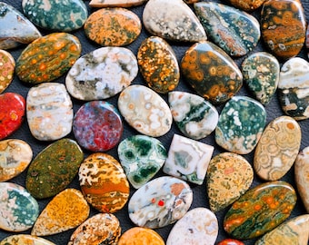 Op de afbeelding: Een verzameling van 25 gepolijste oceaanjaspis cabochons in verschillende vormen en maten. De stenen vertonen een mix van groene, bruine, witte en rode kleuren met ingewikkelde patronen.