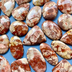 Handmade Bird Eye Jasper Cabochon Lot: Gemstone Jewelry Making