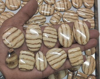 Puede incluir: Colección de piedras preciosas pulidas, ovaladas y rectangulares, con un patrón a rayas en tonos beige y marrón. Las piedras se exhiben en una bandeja de metal y en una mano.