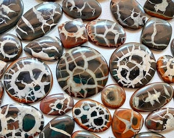 May include: A collection of polished, natural, agate stones with a unique, dendritic pattern. The stones are various shades of brown, black, and white.