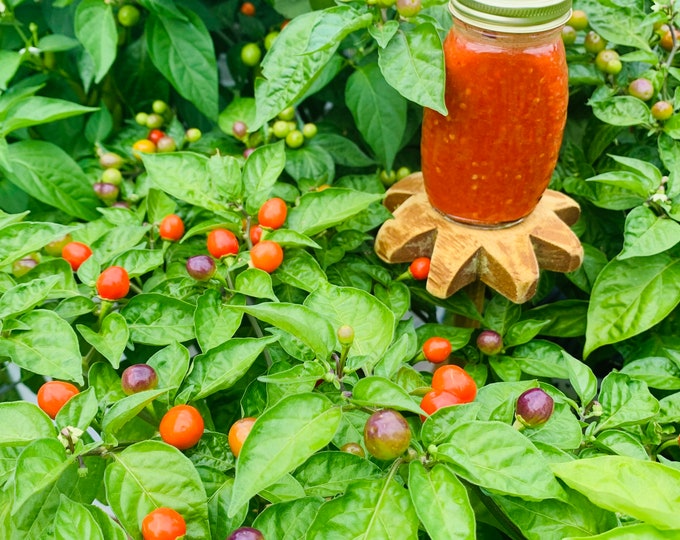 Guyana Wiri Wiri Pepper Hot Sauce Etsy