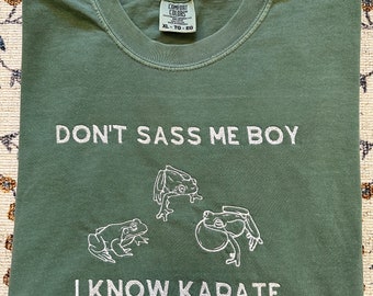 Embroidered T-Shirt or Sweatshirt Disney Meet The Robinson’s Don’t Sass Me Boy