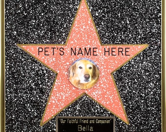 Personalized Walk of Fame Pet Star