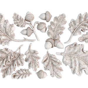Oak Leaves & Acorns IOD Moulds™
