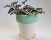 Cream and Mint Hand Painted Flower Pot Planter 4.5 quot