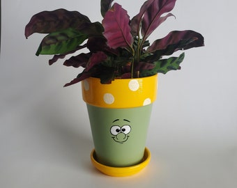 Verde y amarillo cara feliz flor maceta planter 4.5 pulgadas