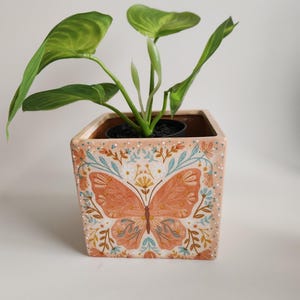Könnte beinhalten: Ein quadratischer Terrakotta-Pflanztopf mit handbemaltem Design, das einen Schmetterling mit orangefarbenen Flügeln und floralen Akzenten zeigt. Der Topf ist mit einer grünen Pflanze gefüllt.