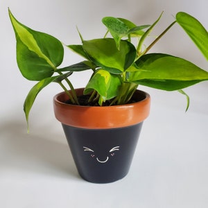 May include: A potted plant with green and yellow variegated leaves in a black terracotta pot with a painted smiley face.