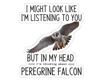 Peregrine falcon, Falcon bird sticker, Raptor vinyl decal, Birdwatcher gift, Falcon car sticker, Bird lover sticker