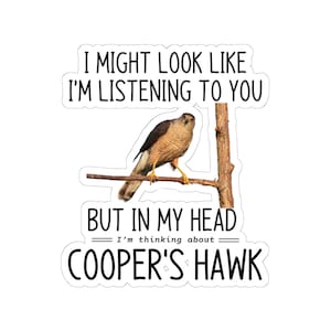 Coopers hawk sticker, Hawk vinyl decal, Birdwatcher gift, Raptor bird sticker, Wild bird decal, Nature bird art