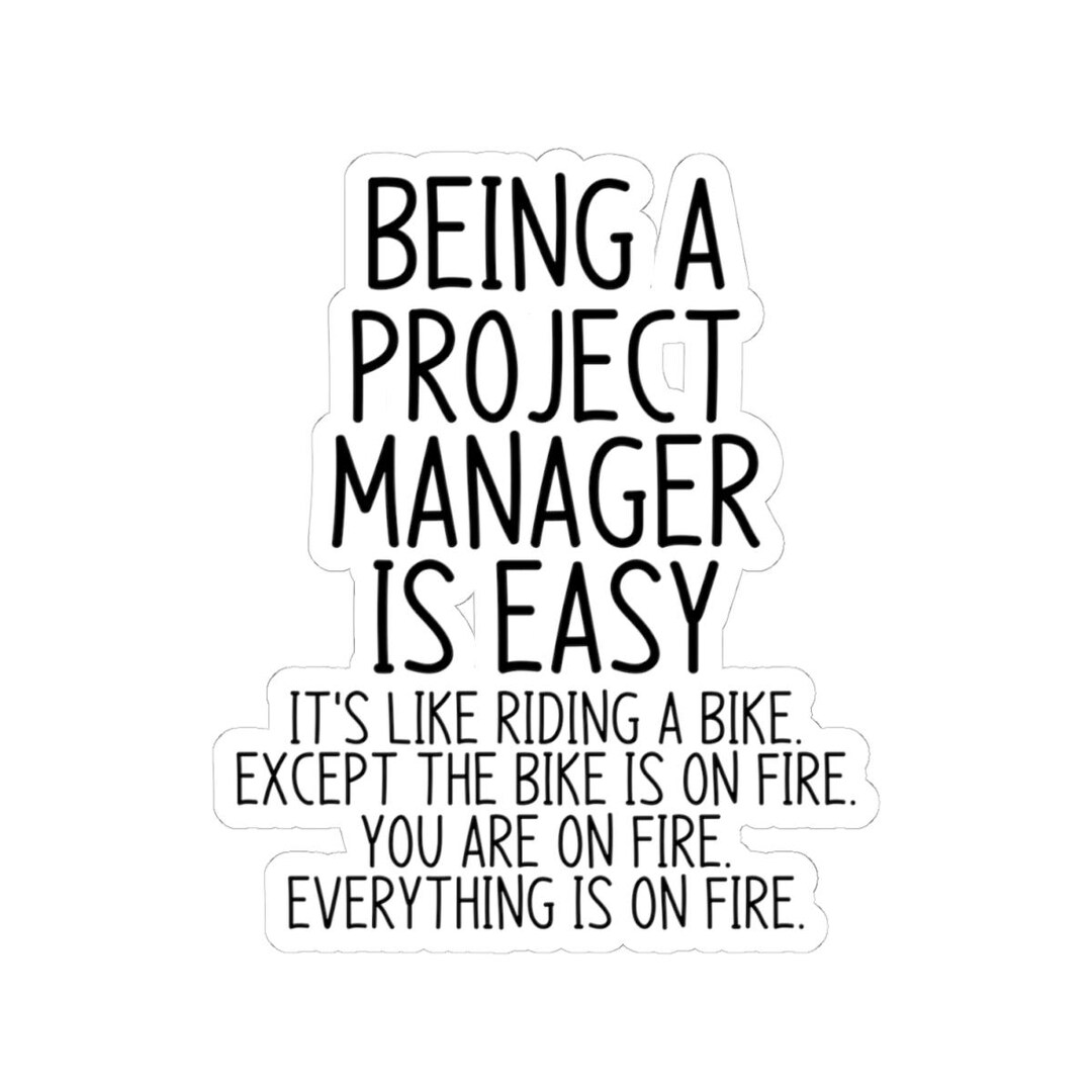 Team Leader Sticker Project Manager, PM Sticker, Team Leader Decal, Project Life, PM Gift ...