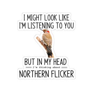 Northern flicker, Flicker bird sticker, Woodpecker decal, Birdwatcher gift