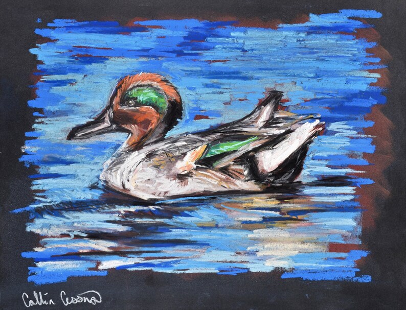 Green-Winged Teal Artwork Portrait 82％以上節約 返品送料無料 by Cessna Pastel Collin Duck