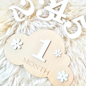 Nube de madera con hitos del bebé, accesorios para fotos de recién nacidos, set de hitos mensuales de 12 meses, ideas de regalo para nuevos padres - Fotos mensuales del bebé - Bebé