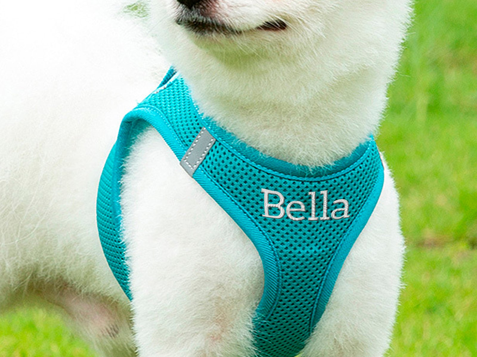 Dog Harness Personalised
 Personalized Dog Harness Custom Dog Harness Dog Name Harness