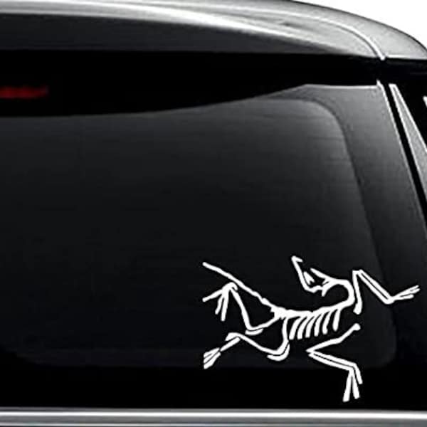 Acteryx Dinosaur Skeleton Fossil Pet -  Die Cut Vinyl Decal Sticker For Car Truck Motorcycle Window Bumper Wall Decor