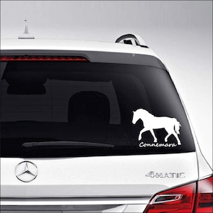 MADE IN USA - Connemara Pony Horse Car Truck Motorcycle Windows Bumper Wall Decor Vinyl Decal Sticker