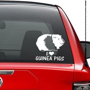 Amour, cochons d'inde, autocollant en vinyle pour animaux de compagnie, voiture, camion, véhicule, pare-chocs, fenêtre, décoration murale, casque, moto