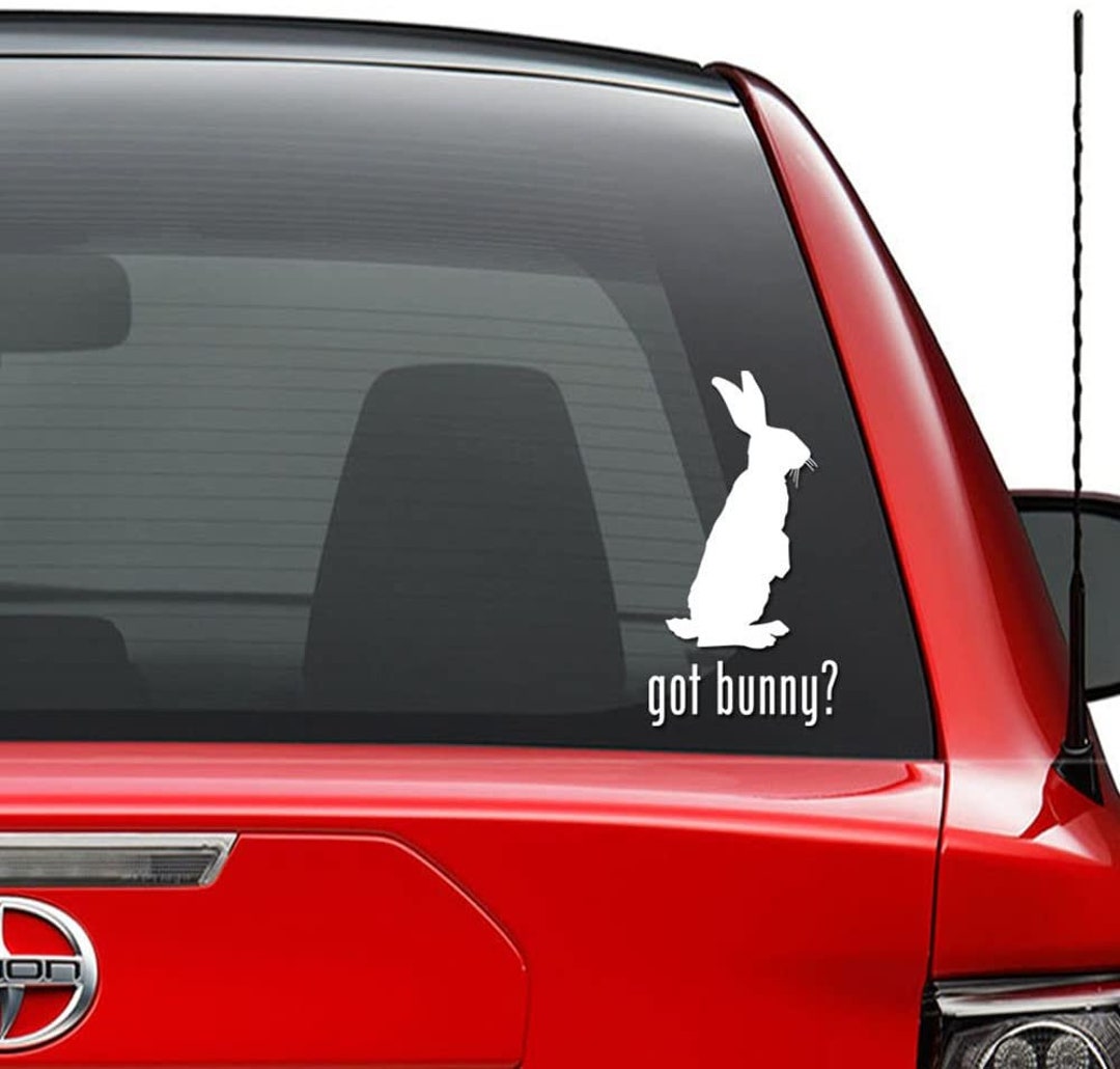 Got Bunny Rabbit Pet Vinyl Decal Sticker Car Truck Vehicle Bumper ...