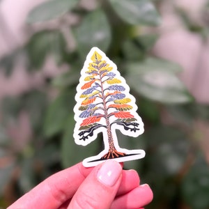 Adesivo in vinile a forma di pino / Regalo perfetto per chi cerca l'avventura, l'ambientalista e l'amante della natura