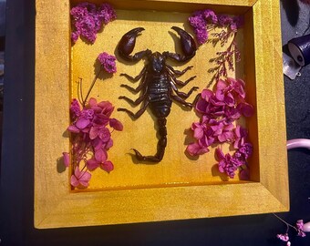 以下が含まれることがあります： 金色の背景に、保存されたサソリと乾燥したピンクの花が飾られた額縁入りアート作品です。