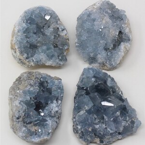 May include: Four celestite crystal clusters. The crystals are a pale blue colour, with a rough, textured exterior. The clusters vary in size and shape, with some showing more defined crystal formations.