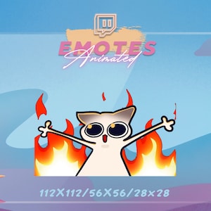 Animated CAT Emote - Twitch Fire  Emote | Meme Emote | Kawaii GIF | Custom emotes