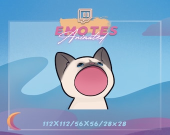 Animated Twitch Emote - Siamese Cat | Pop Cat GIF | Bop Cat emote | Kawaii Emote