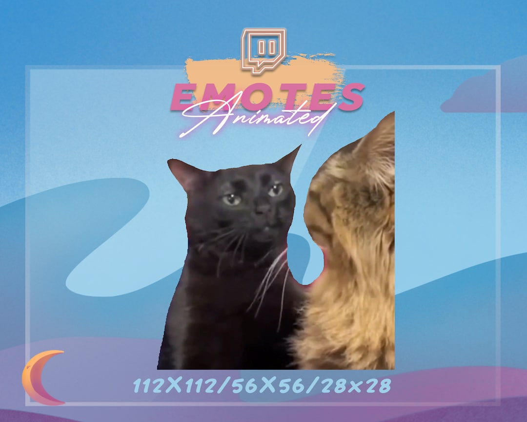 Black Cat Zoning Out Meme Emote Stream Emote Meme Emote Kawaii GIF Etsy