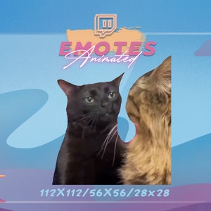 Black Cat Zoning Out -  Meme Emote | Stream Emote | Meme Emote | Kawaii GIF